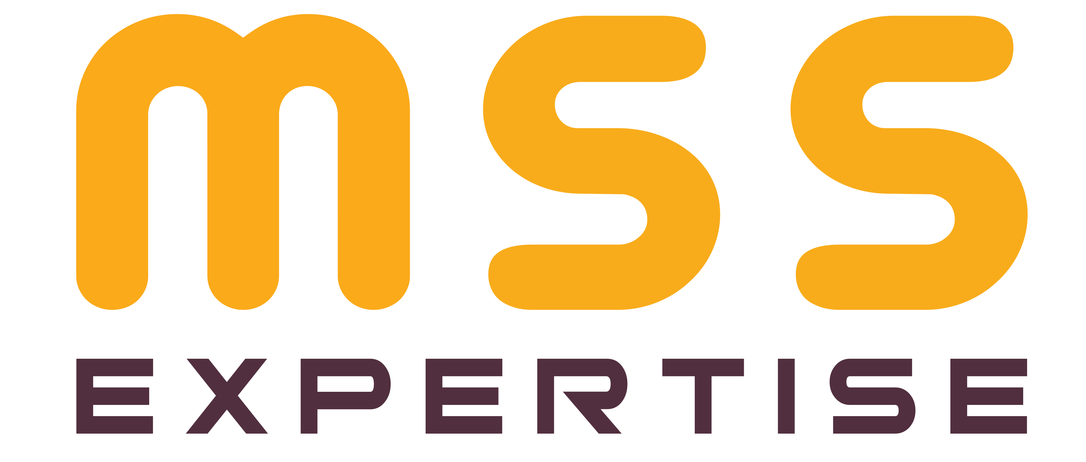 MSS Expertise Logo